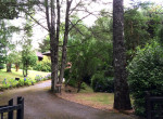 CASA PDL (18)