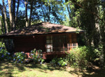 CASA PDL (33)